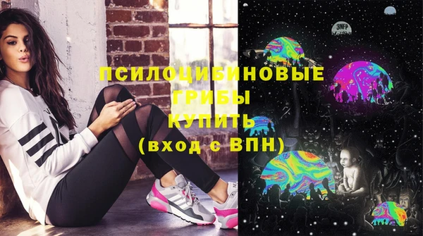 PSILOCYBIN Инсар
