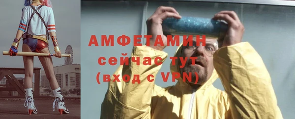 PSILOCYBIN Инсар