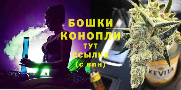 PSILOCYBIN Инсар