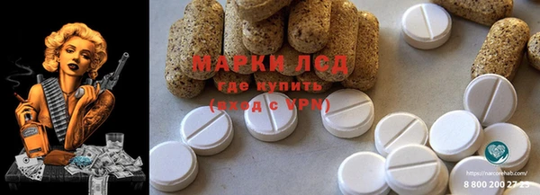 PSILOCYBIN Инсар