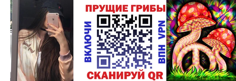 Купить  Боровичи  Галлюциногенные грибы MAGIC MUSHROOMS 